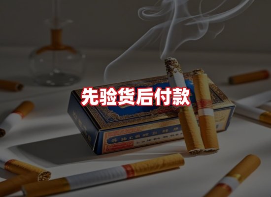专业团队
